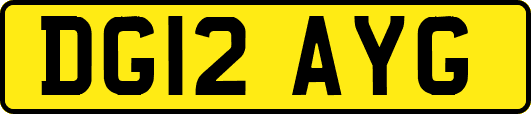 DG12AYG