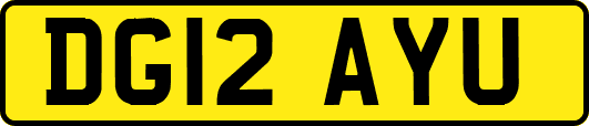 DG12AYU