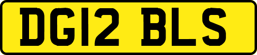 DG12BLS