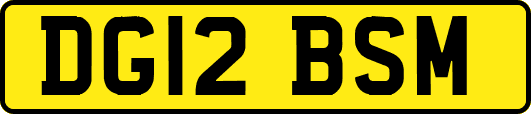 DG12BSM