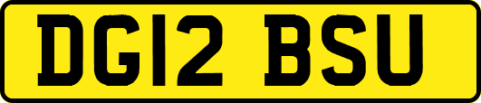 DG12BSU