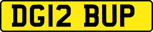 DG12BUP