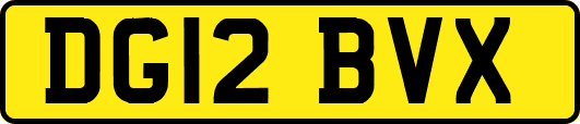 DG12BVX