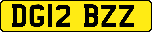 DG12BZZ