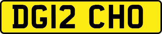 DG12CHO