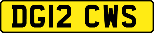 DG12CWS
