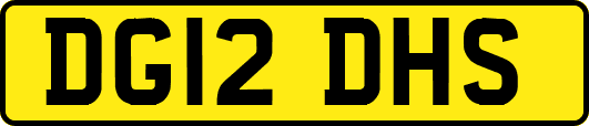 DG12DHS