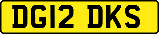 DG12DKS
