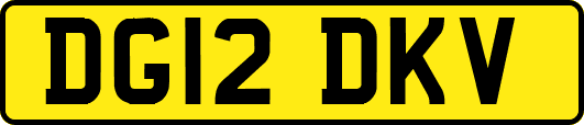 DG12DKV
