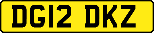 DG12DKZ