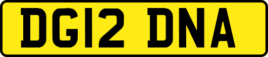 DG12DNA