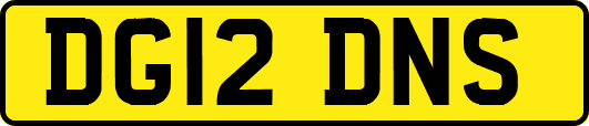 DG12DNS