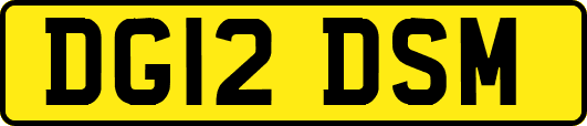 DG12DSM