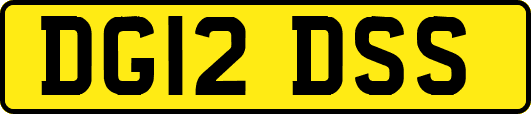 DG12DSS