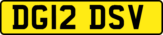 DG12DSV
