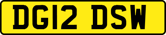 DG12DSW