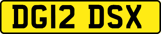 DG12DSX