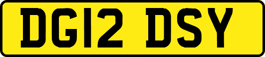 DG12DSY
