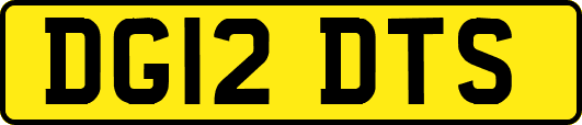 DG12DTS