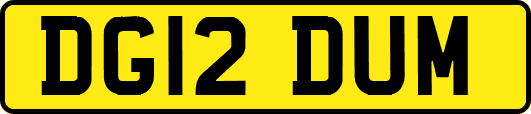 DG12DUM
