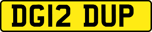 DG12DUP