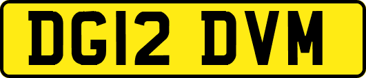 DG12DVM