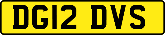 DG12DVS