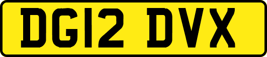 DG12DVX
