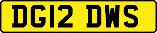 DG12DWS