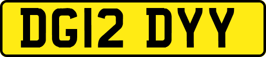 DG12DYY