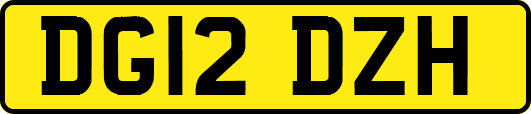 DG12DZH