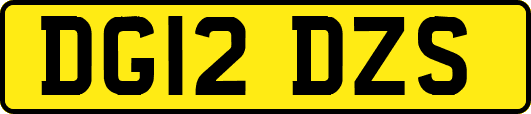 DG12DZS