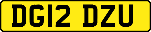 DG12DZU