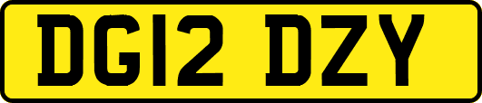 DG12DZY