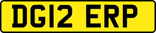 DG12ERP