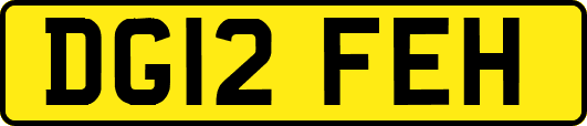 DG12FEH