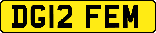 DG12FEM