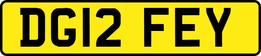 DG12FEY