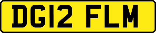 DG12FLM