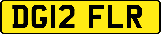 DG12FLR