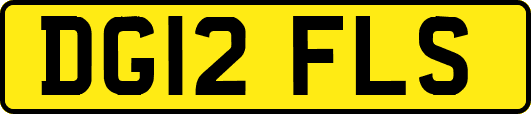 DG12FLS