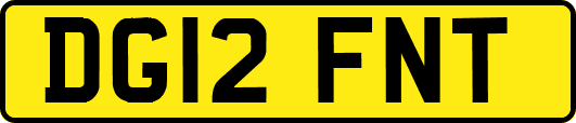 DG12FNT