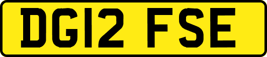DG12FSE