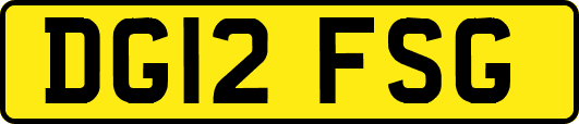 DG12FSG