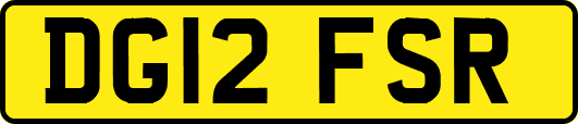 DG12FSR