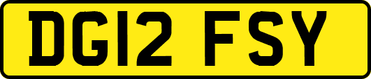 DG12FSY