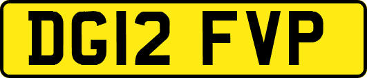 DG12FVP