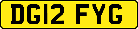 DG12FYG