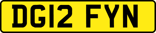 DG12FYN