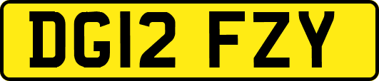 DG12FZY